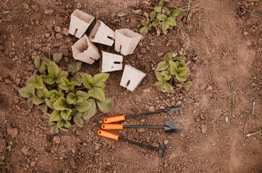 gardening