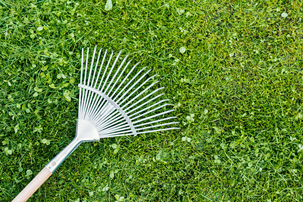 top-view-rake-grass