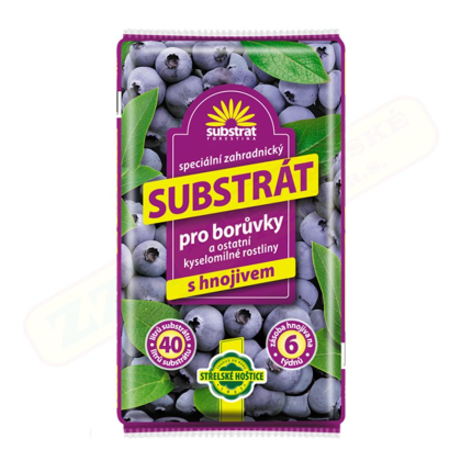 FORESTINA Substrát pro borůvky 40 l