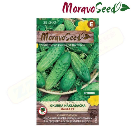 MORAVOSEED Okurka nakládačka hruboostná DALILA F1 - hybrid 64005