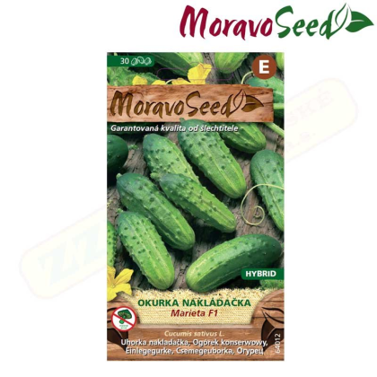 MORAVOSEED Okurka nakládačka hruboostná MARIETA F1 - hybrid 64012