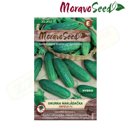 MORAVOSEED Okurka nakládačka hruboostná ORFEUS F1 - hybrid 64049