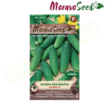 MORAVOSEED Okurka nakládačka hruboostná ZUZANA F1 - hybrid 64048