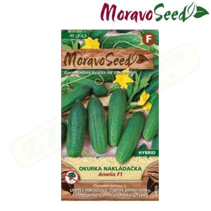 MORAVOSEED Okurka nakládačka jemnoostná AMELIA F1 - hybrid 64096