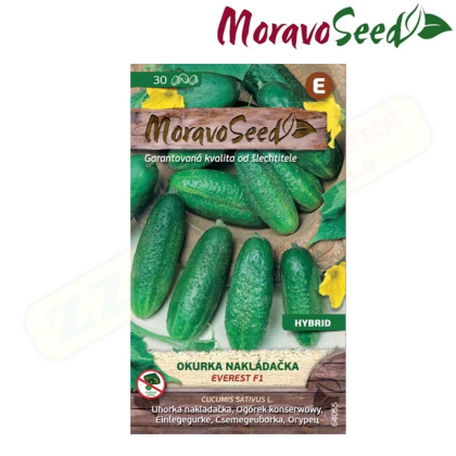 MORAVOSEED Okurka nakládačka jemnoostná EVEREST F1 - hybrid 64055