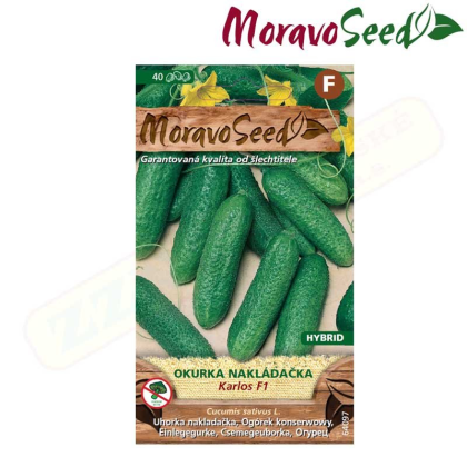 MORAVOSEED Okurka nakládačka jemnoostná KARLOS F1 - hybrid 64097