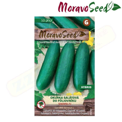 MORAVOSEED Okurka salátová do fóliovníku SHERPA F1 - hybrid 64299