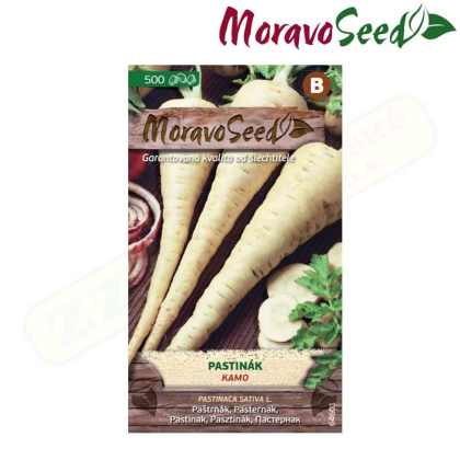 MORAVOSEED Pastiňák KAMO 64601