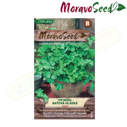 MORAVOSEED Petržel naťová hladká FEST 65002