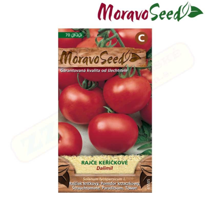 MORAVOSEED Rajče keříčkové DALIMIL, kulaté 65505