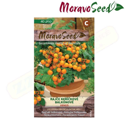 MORAVOSEED Rajče keříčkové VENUS, oranžové 65362