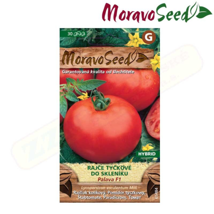 MORAVOSEED Rajče tyčkové PALAVA F1 - hybrid 65484