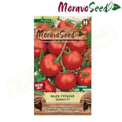 MORAVOSEED Rajče tyčkové GALLANT F1 - hybrid 65483