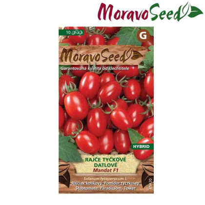 MORAVOSEED Rajče tyčkové datlové MANDAT F1 - hybrid 65420