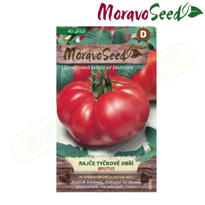 MORAVOSEED Rajče tyčkové obří BRUTUS 65306