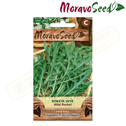 MORAVOSEED Roketa setá WILD ROCKET 66201