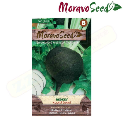 MORAVOSEED Ředkev KULATÁ ČERNÁ 65804