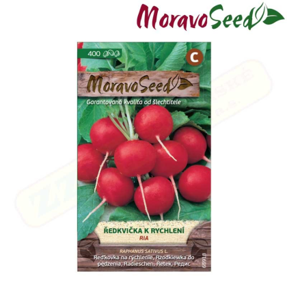 MORAVOSEED Ředkvička k rychlení RIA, kulatá červená 65918