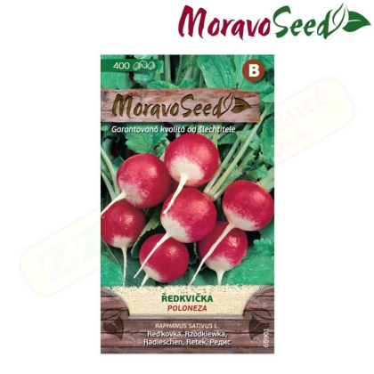 MORAVOSEED Ředkvička POLONEZA, kulatá červeno-bílá 65901