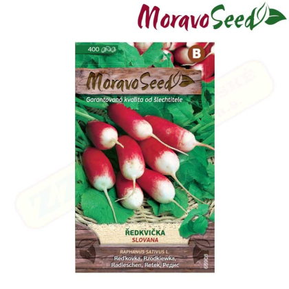 MORAVOSEED Ředkvička SLOVANA, válcovitá červeno-bílá 65908