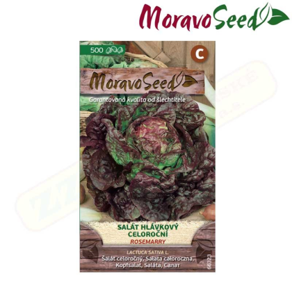 MORAVOSEED Salát hlávkový celoroční ROSEMARRY, červený 66323