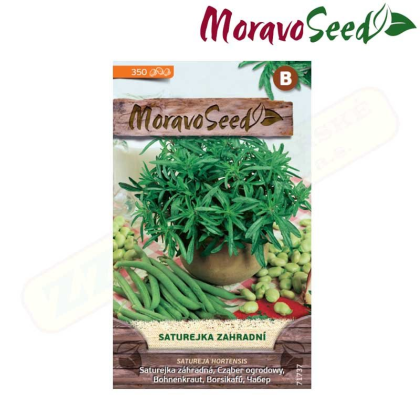 MORAVOSEED Saturejka zahradní 71737