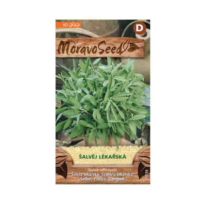 MORAVOSEED Šalvěj lékařská 71739