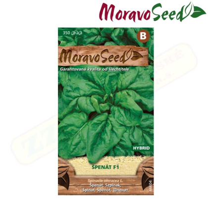 MORAVOSEED Špenát setý F1 - hybrid 66604