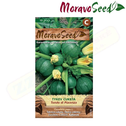 MORAVOSEED Tykev cuketa zelená TONDO DI PIACENZA, kulatá 67226