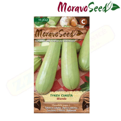 MORAVOSEED Tykev cuketa WANDA 67237