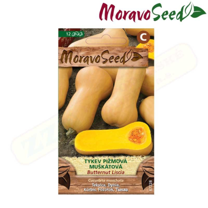 MORAVOSEED Tykev pižmová BUTTERNUT LISCIA, muškátová 67228