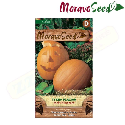 MORAVOSEED Tykev plazivá JACK´O LANTERN 67305