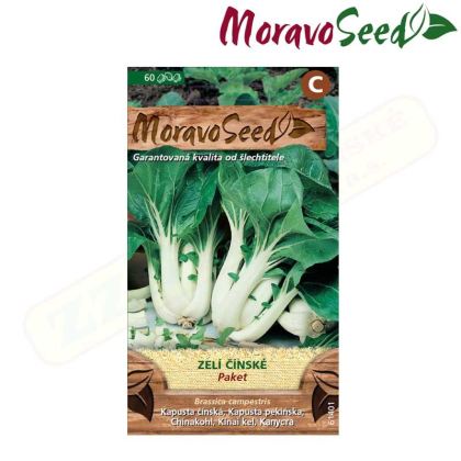 MORAVOSEED Zelí čínské PAKET 61401