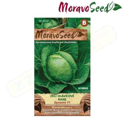 MORAVOSEED Zelí hlávkové rané DYNAMIC F1 - hybrid 67616