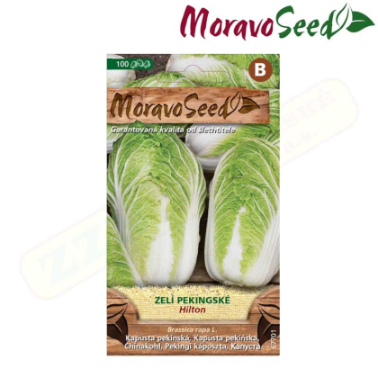 MORAVOSEED Zelí pekingské HILTON 67701