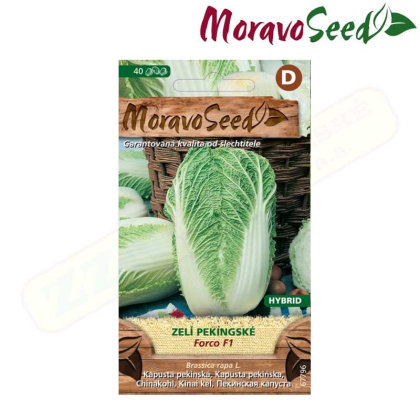 MORAVOSEED Zelí pekingské FORCO F1 - hybrid 67796