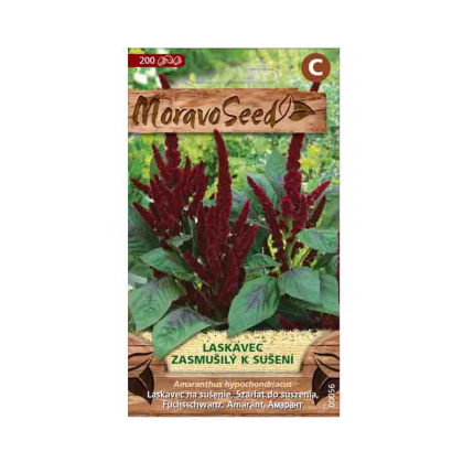 MORAVOSEED Laskavec zasmušilý k sušení, červený 00056