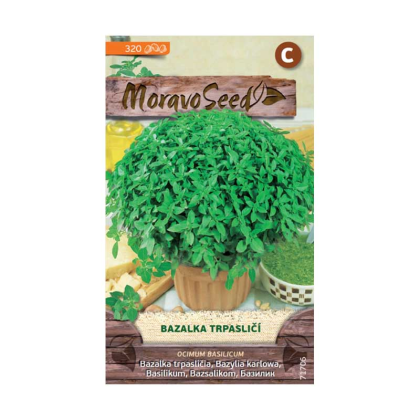 MORAVOSEED Bazalka pravá, trpasličí 71706