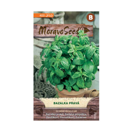 MORAVOSEED Bazalka pravá, zelená 71702