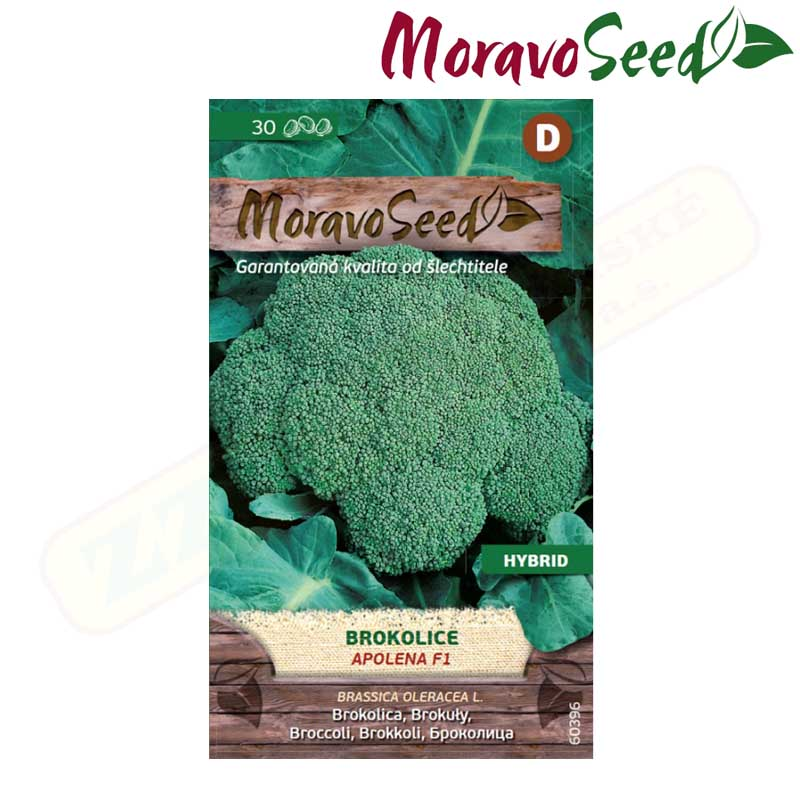 MORAVOSEED Brokolice APOLENA F1 - hybrid 60396