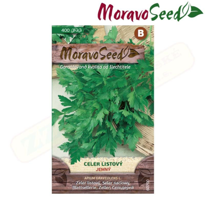 MORAVOSEED Celer listový JEMNÝ 60700