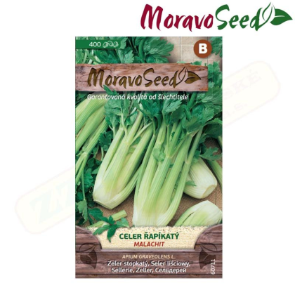 MORAVOSEED Celer řapíkatý MALACHIT zelený 60711