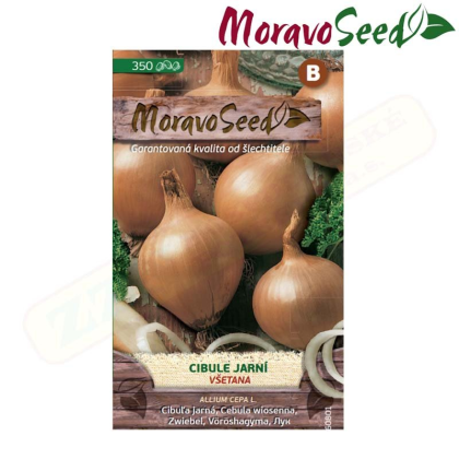 MORAVOSEED Cibule jarní VŠETANA, žlutá 60801