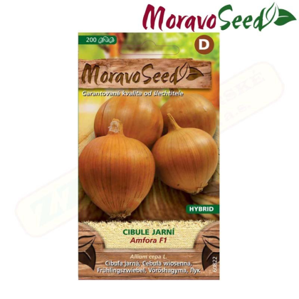 MORAVOSEED Cibule jarní AMFORA F1 - hybrid, žlutá 60822