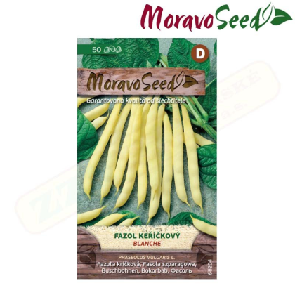 MORAVOSEED Fazol keříčkový BLANCHE, žlutý 68204