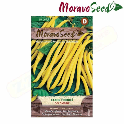 MORAVOSEED Fazol pnoucí GOLDMARIE, žlutý 68300