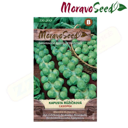 MORAVOSEED Kapusta růžičková CASIOPEA 62101