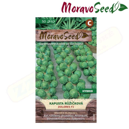 ORAVOSEED Kapusta růžičková DOLORES F1 - hybrid 62149