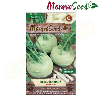 MORAVOSEED Kedluben raný KORFU F1 - hybrid, bílý 62319