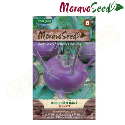 MORAVOSEED Kedluben raný BLANKYT, modrý 62321